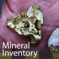 Mineral inventory