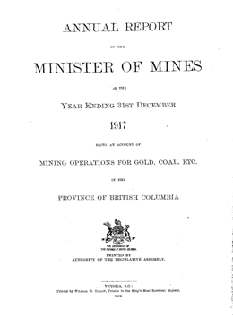 Annual Report 1917