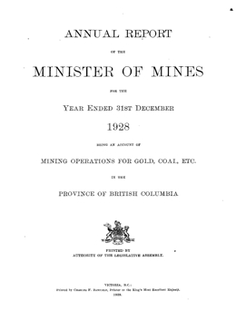 Annual Report 1928