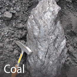 Coal assessment reports