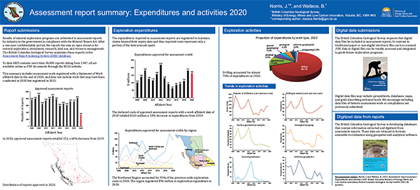 Assessment report summary: Expenditures and activities 2020