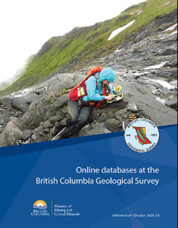 BCGS_IC2026-03 BCGS_IC2026-03