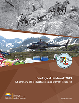 Cover image of BCGS Paper 2020-01