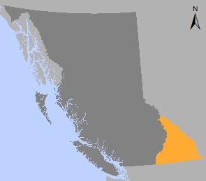 Map of Kootenay-Boundary Regional Land Use Plan area