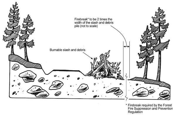 Figure 5-5 Debris disposal by piling and burning