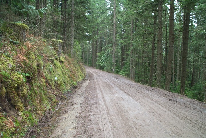 Natural resource road