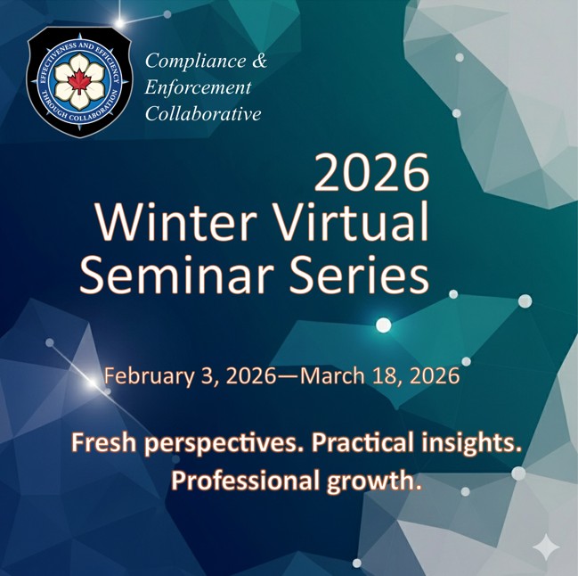 Virtual Seminar Series poster