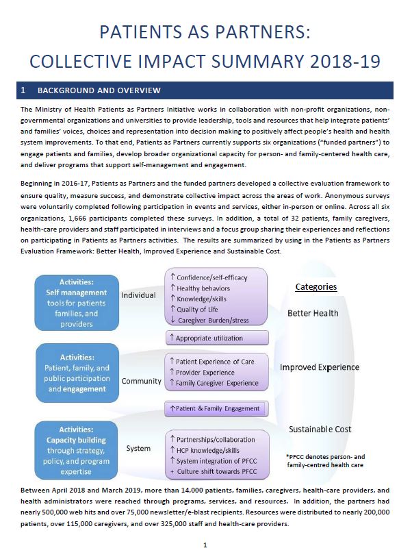 Collective Impact Summary Report 2018-19