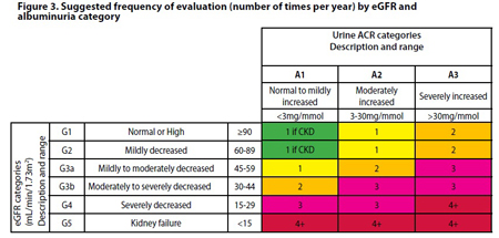 Microalbumin Range Chart