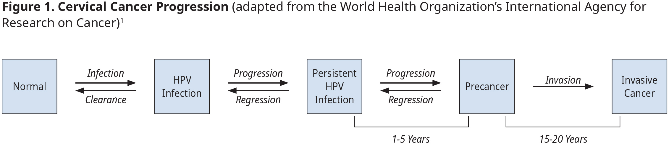 Figure 1. Cervical Cancer Progression (adapted from the World Health Organization’s International Agency for Research on Cancer) Figure 1. Cervical Cancer Progression (adapted from the World Health Organization’s International Agency for Research on Cancer)
