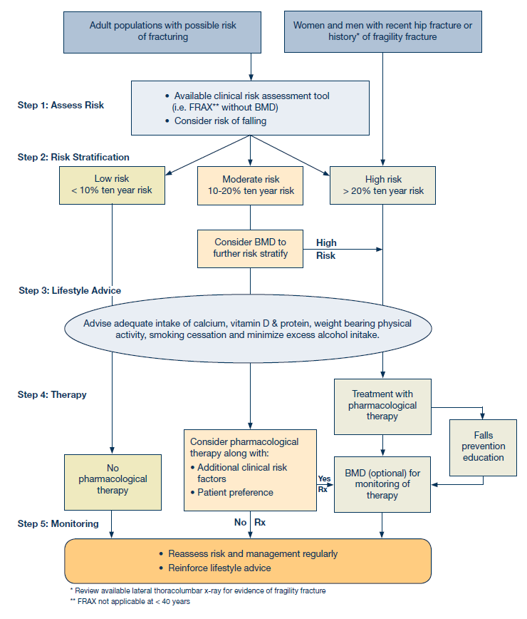 Osteoporosis Fracture Recovery