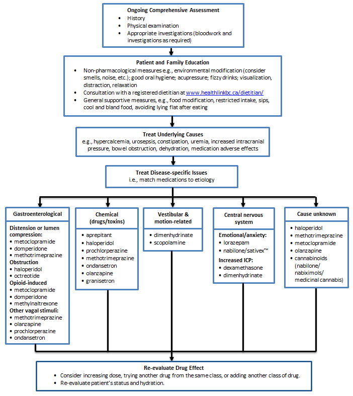 Nausea and Vomiting Management Algorithm