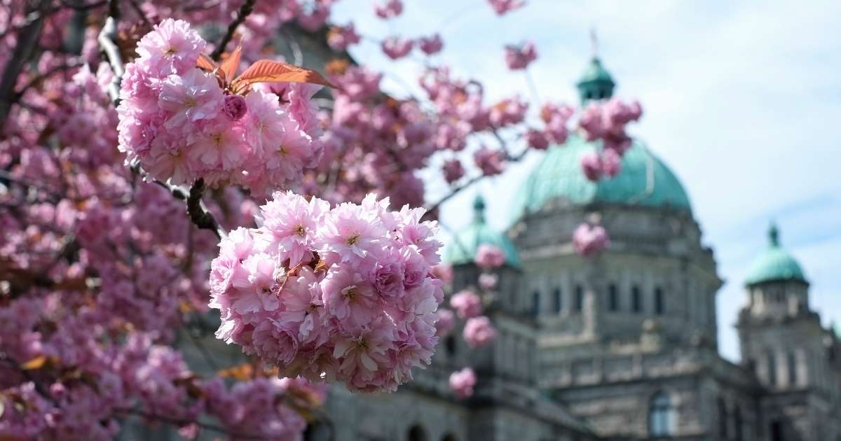 Support for early childhood professionals - Province of British Columbia - gov.bc.ca