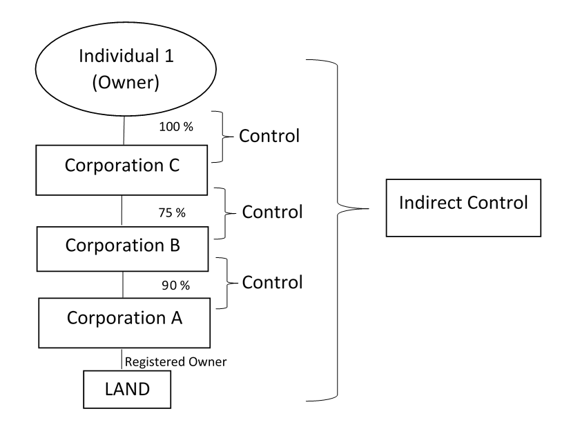 Example of control of a chain of intermediate companies