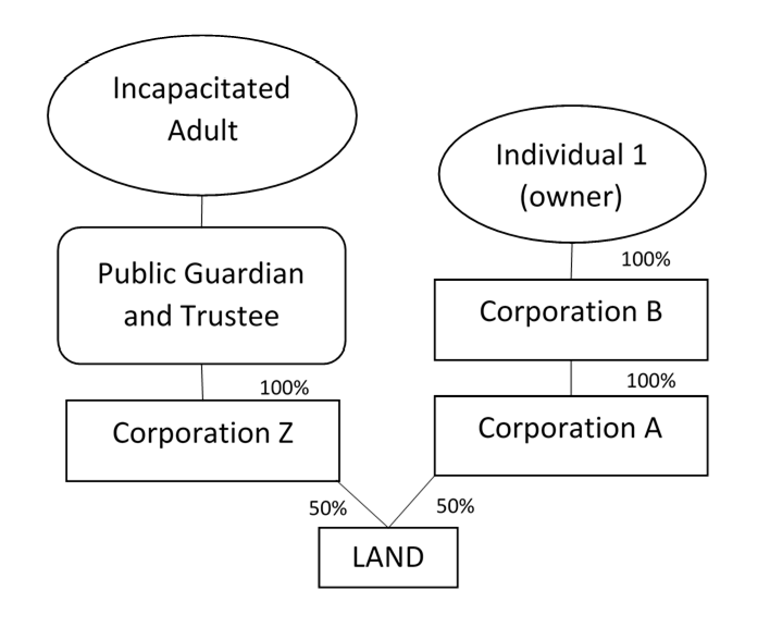 Example of excluded intermediate entities or persons