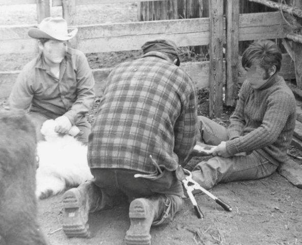 Juvenile assist instructor in a Choin Ranch corral