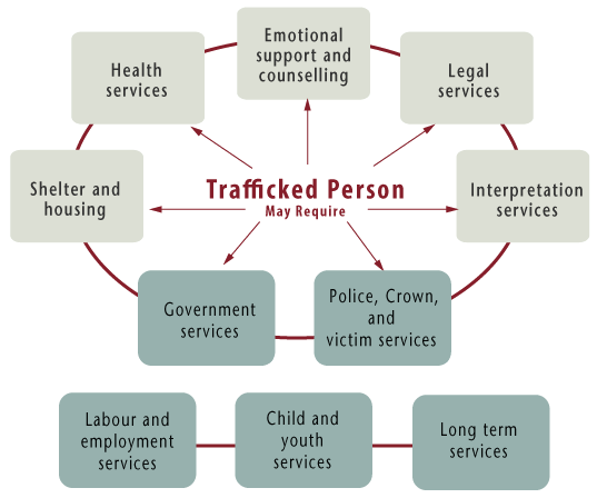 Trafficked person may require: shelter and housing, health services, emotional support and counselling, legal services, interpretation services, government services, police, crown, and victim services, labour and employment services, child and youth services and long term services.