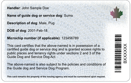 Service Dog Identification Card Template from www2.gov.bc.ca