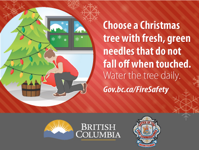 Image of a woman kneeling down to water a Christmas tree with the text choose a Christmas tree with fresh, green needles that do not fall off when touched. Water the tree daily.