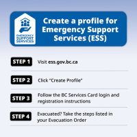 Steps of creating an Emergency Support Services profile