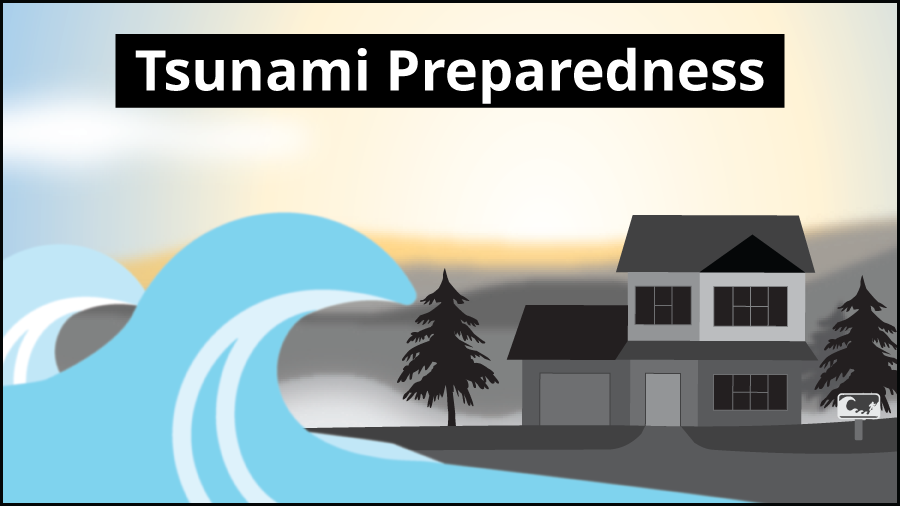 Social media graphic depicting tsunami hazards with the words Tsunami Preparedness in white text on a black box. 