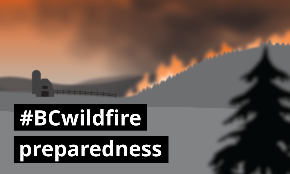 wildfire preparedness graphic
