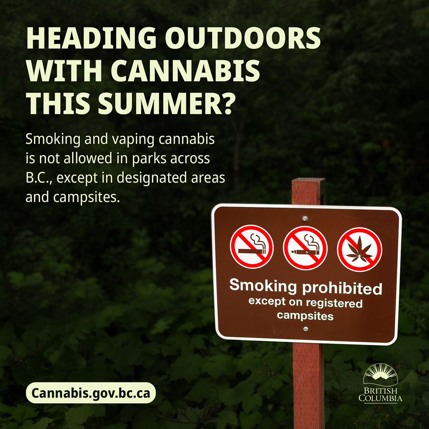 This image depicts a no-smoking sign in a B.C. park 