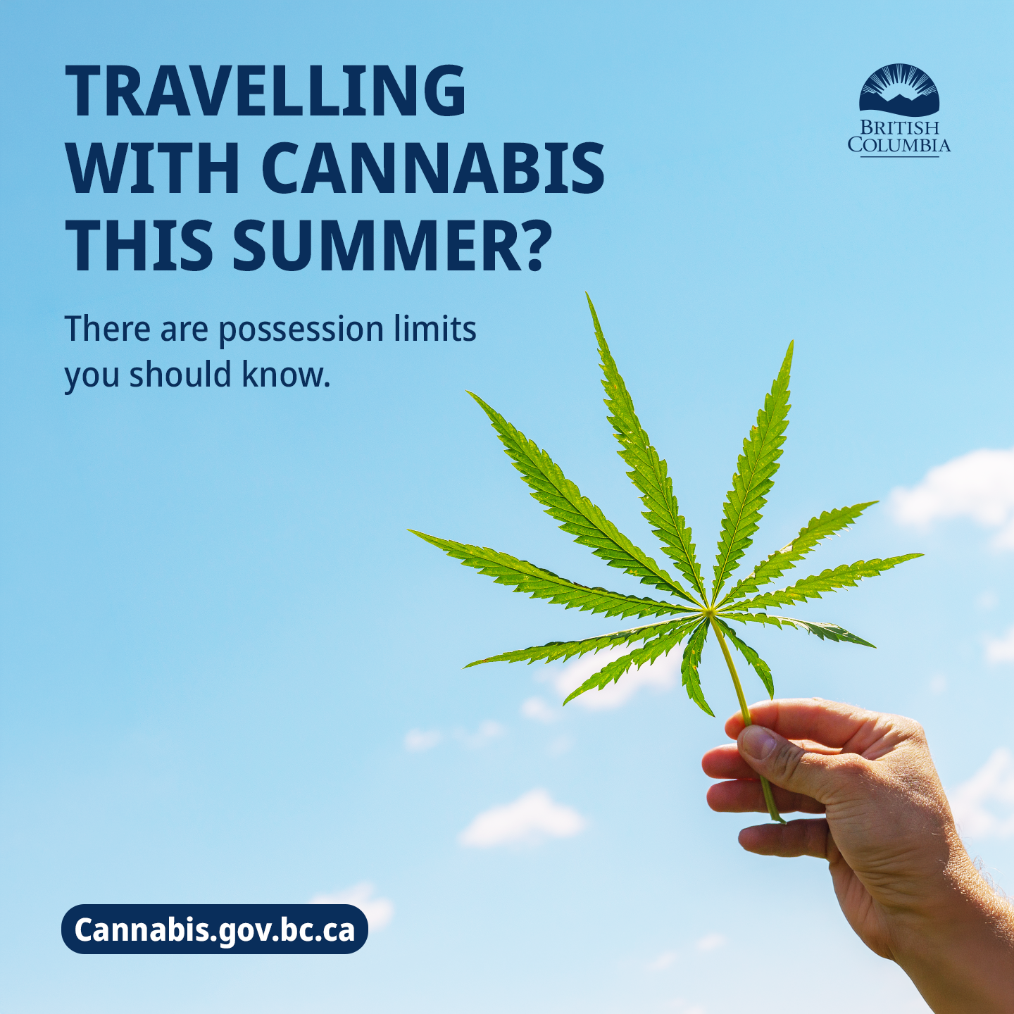 This image depicts a hand holding a cannabis leaf against a blue sky.