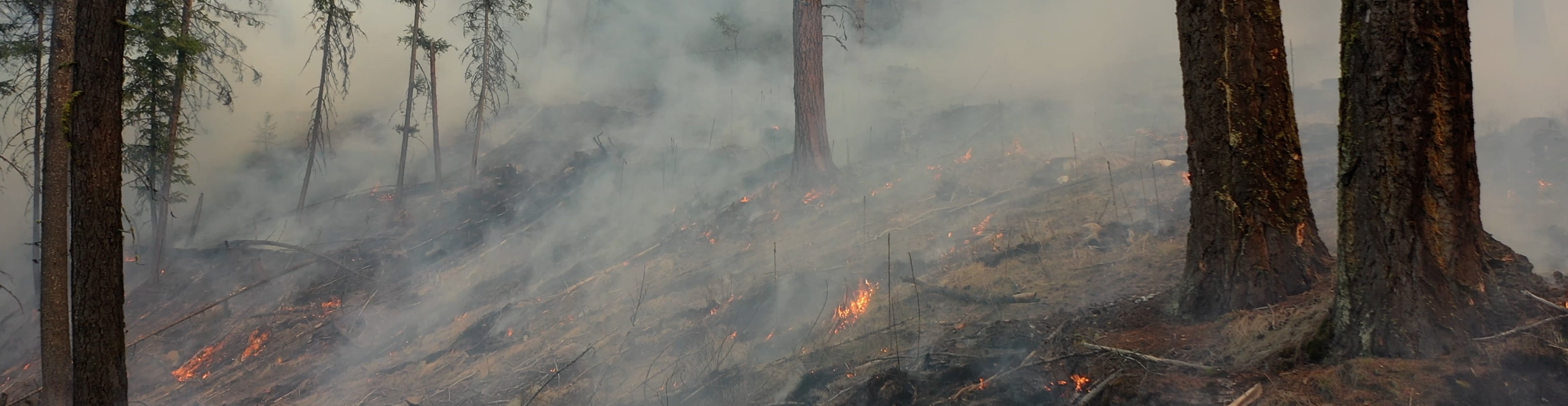 Wildfire Service Province Of British Columbia