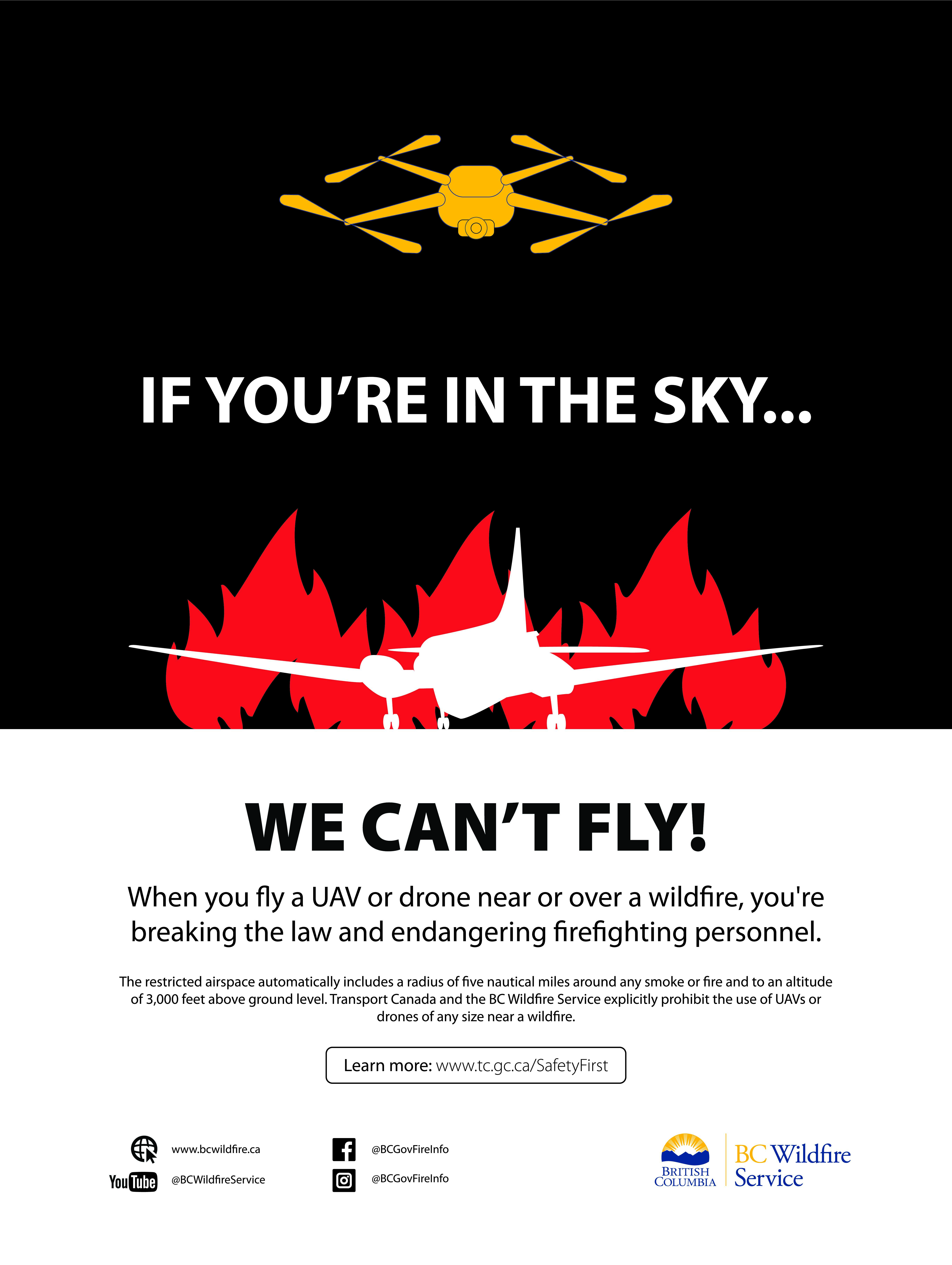 Thumbnail of Drone Poster