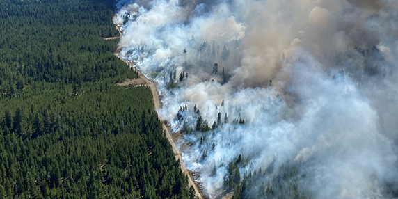 A control line slows the progress of a large wildfire