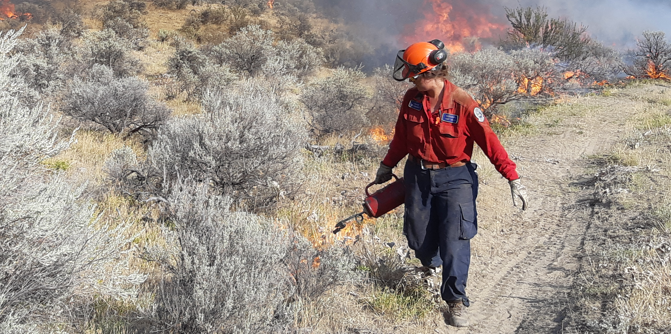 A BC Wildfire Service firefighter conducts a planned ignition 