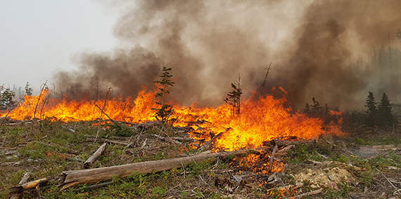 Fires In Bc Canada Today