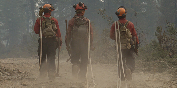 bc wildfire service wildfire firefighter crews
