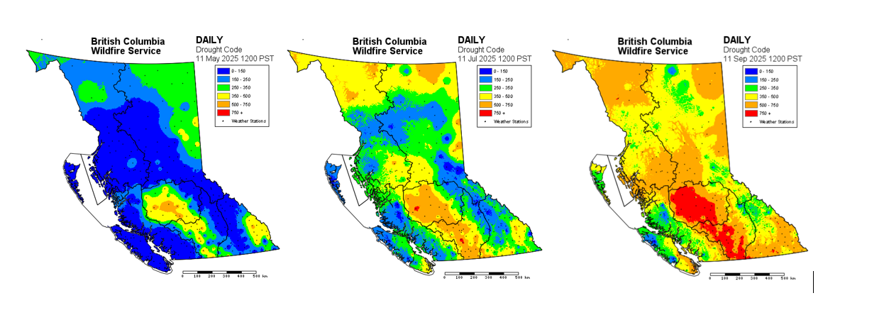 Three Drought Code maps of B.C. show drought growing more severe over the course of 2025 with the lowest values in May, higher in June and highest in September 