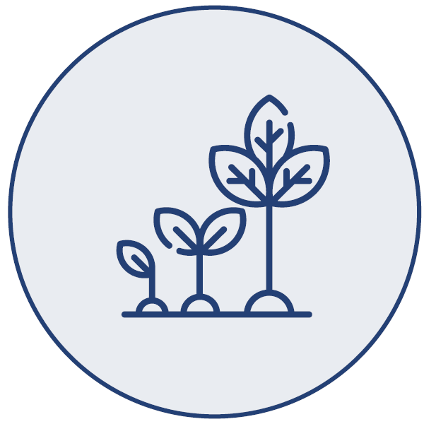 Invest in growth icon
