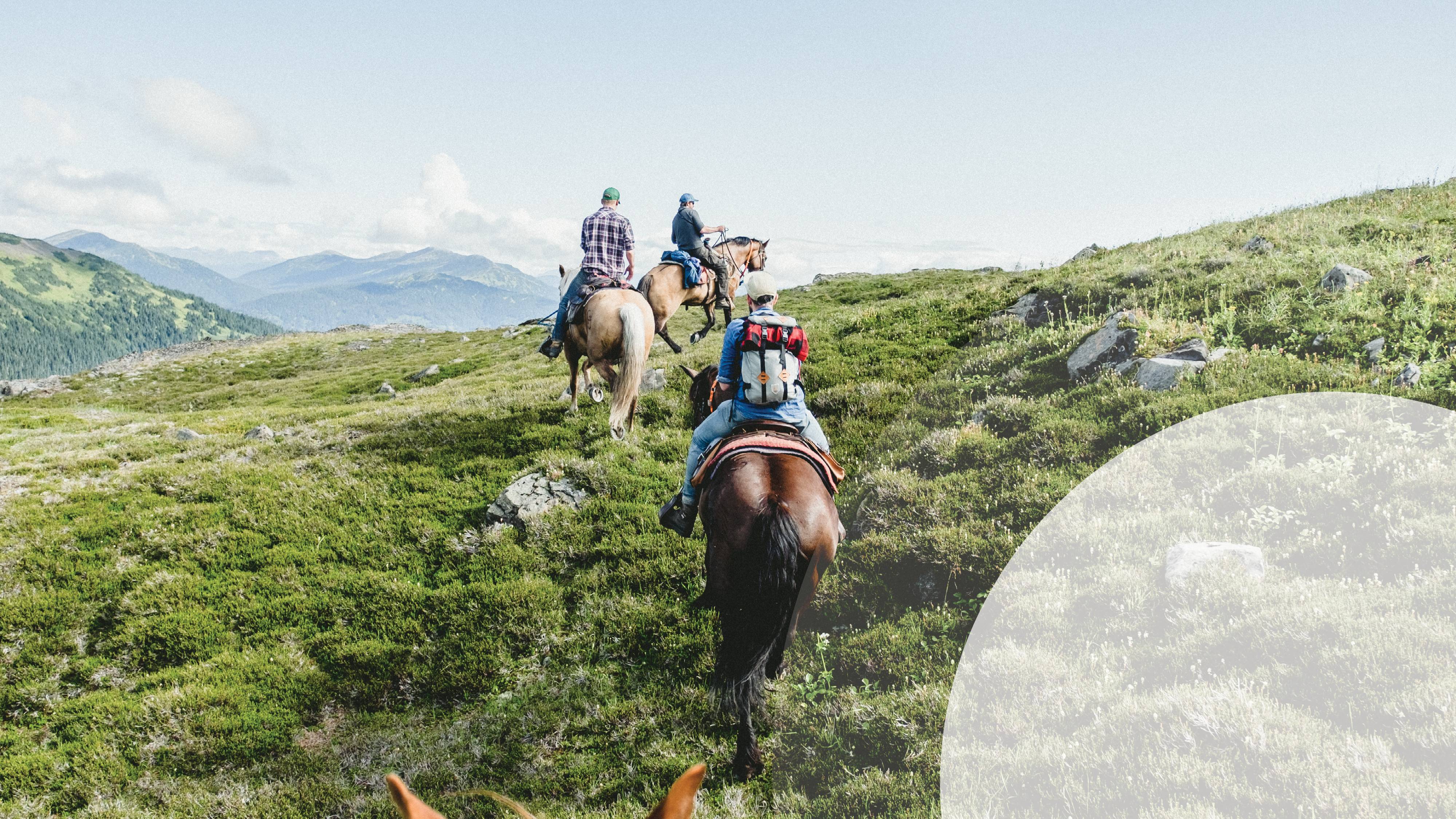 Three people riding horses