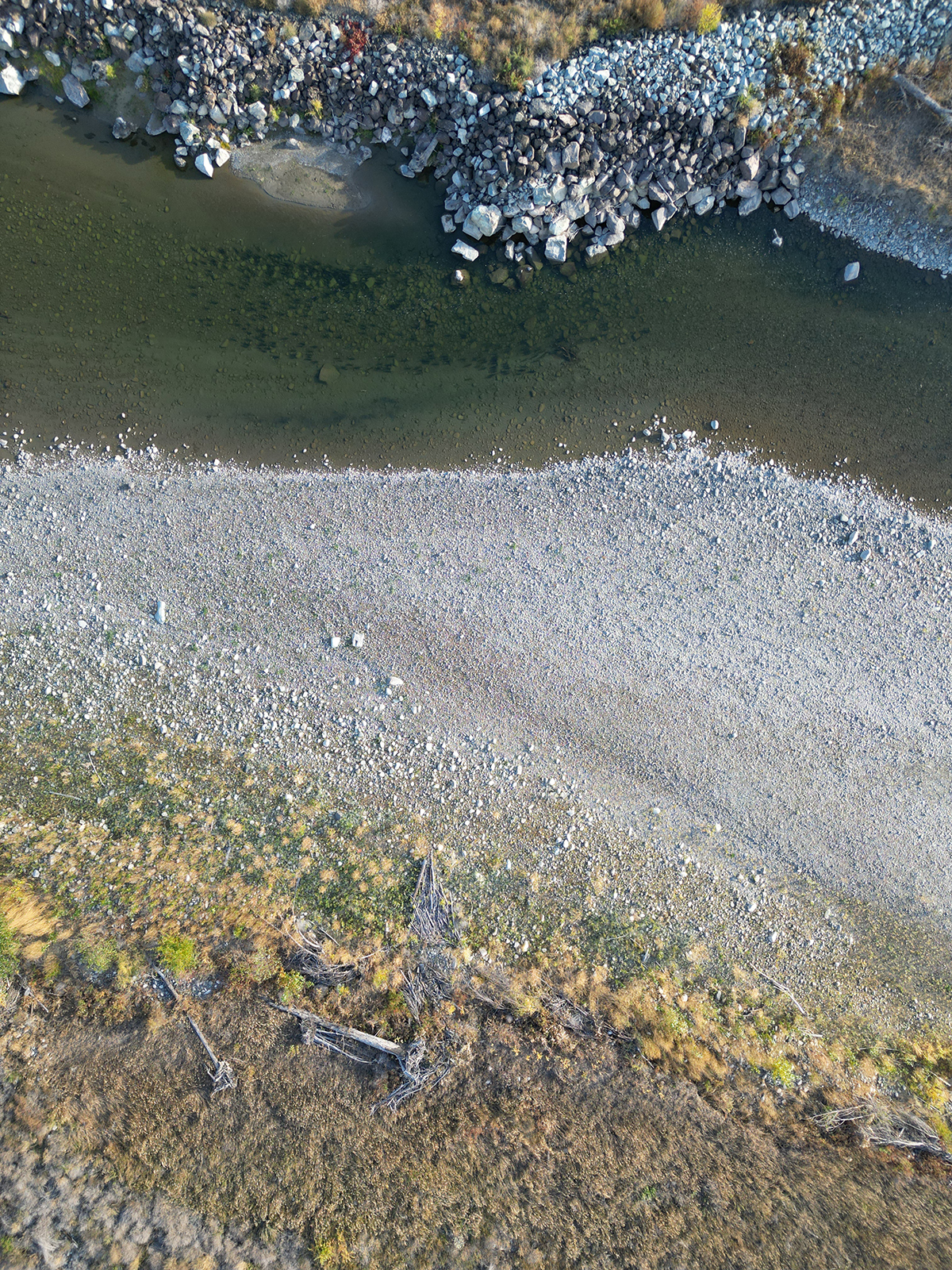 Coho salmon travelling past rocky clusters (groynes) at site 4 Coho salmon travelling past rocky clusters (groynes) at site 4
