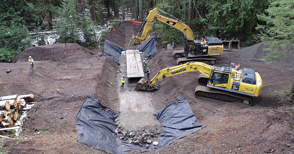 Silver Skagit Current Progress