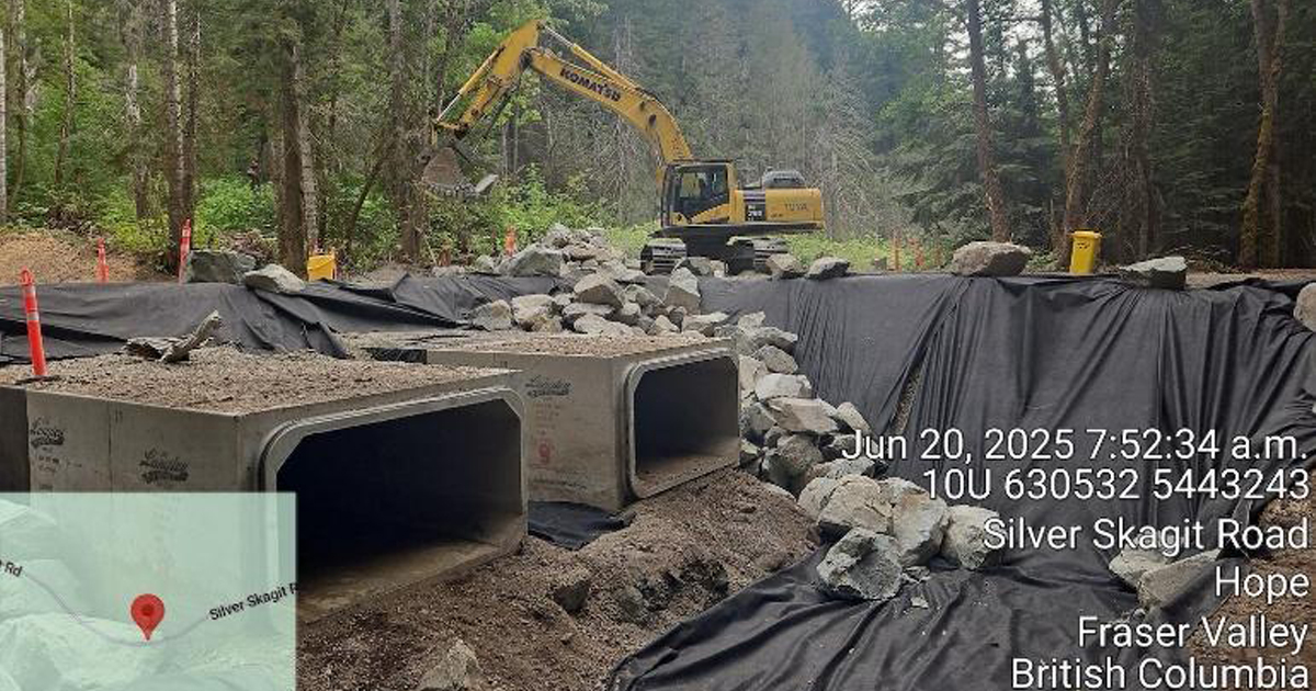 Site 38.4 km, June 2025