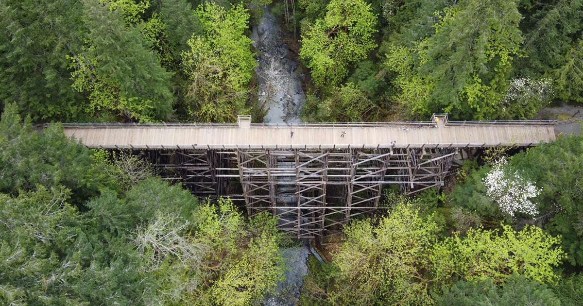 Holt Creek Bridge Overhead